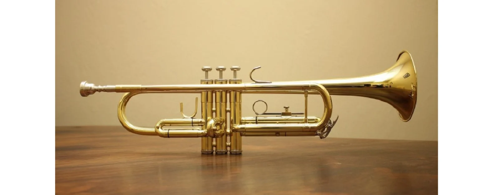 Choisir sa trompette : Guide complet