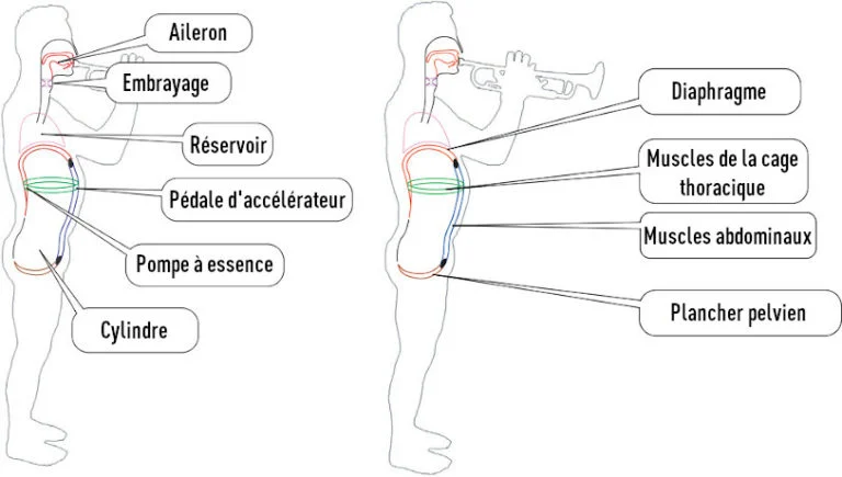 Un trompettiste débutant pratiquant des exercices